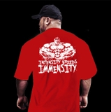 ÁO OVERSIZE IMMENSITY