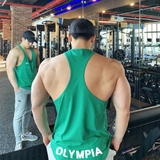 ÁO BALO Mr Olympia