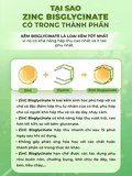 Kẹo dẻo bổ sung kẽm Bisglycinate