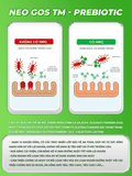 Kẹo lợi khuẩn Pre & Probiotic