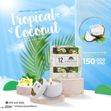 Tropical Coconut 12