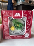NẾN BÁT SEN TUỆ ĐĂNG ( 1 BÁT)