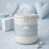 Nến hũ xi măng 110ml