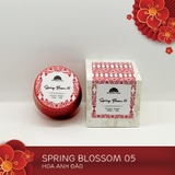 Spring Blossom 05