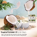 Tropical Coconut 12