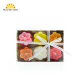 Hộp Tealight Hoa Thuỷ Tiên 6v