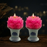 Sen 5 có đế (đôi)