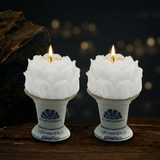 Sen 5 có đế (đôi)