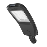 Đèn đường LED 80W CSD08 80W RẠNG ĐÔNG