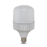 Bóng đèn LED BULB Trụ 30W TR100NĐ2/30W.H RẠNG ĐÔNG