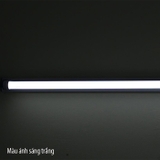 Bóng đèn LED Tuýp T8 1.2m 18W đổi màu LED TUBE T8 ĐM 120/18W RẠNG ĐÔNG