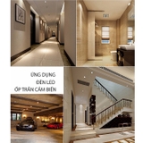 Đèn LED Ốp trần Cảm biến 9W D LN05L 160/9W RAD RẠNG ĐÔNG