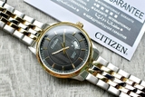 CITIZEN BI1054-80E