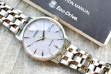 CITIZEN ECO-DRIVE BM7466-81H