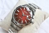 CITIZEN AUTOMATIC NK0000-95W