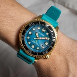 CITIZEN PROMASTER ECO-DRIVE DIVER BN0162-02X
