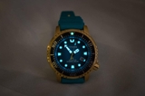 CITIZEN PROMASTER ECO-DRIVE DIVER BN0162-02X