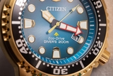 CITIZEN PROMASTER ECO-DRIVE DIVER BN0162-02X