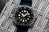 CITIZEN ECO-DRIVE PROMASTER SUPER TITANIUM BN0220-16E