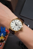 SEIKO PRESAGE COCKTAIL SRPB44J1 - QUA SỬ DỤNG