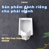 Bồn tiểu nam Caesar U0230 treo tường