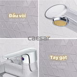 Vòi sen tắm nóng lạnh Caesar S433C