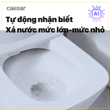 Bồn cầu điện tử Caesar CA1380H