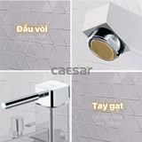 Vòi sen tắm nóng lạnh Caesar S463C