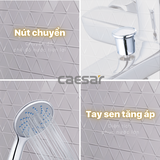 Vòi sen tắm nóng lạnh Caesar S203C