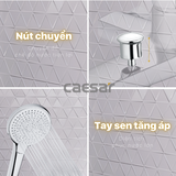 Vòi sen tắm nóng lạnh Caesar S393C