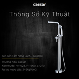 Vòi sen gắn bồn tắm Caesar AS489C nóng lạnh