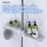 Thân cây sen tắm đứng nóng lạnh Caesar BS126