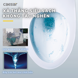 Bồn cầu két nước âm tường Caesar CPT1505