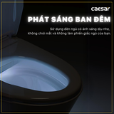 Nắp Bồn Cầu Điện Tử CAESAR TAF512H Đa Năng