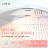 Bồn Cầu 1 khối CAESAR C1395F Nắp Rửa Điện Tử TAF710H