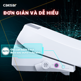 Bồn Cầu 1 khối CAESAR C1363F Nắp Rửa Điện Tử TAF610H