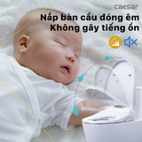 Bồn cầu 2 khối CD1320 nắp rửa điện tử TAF610H