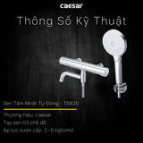 Vòi Sen Nhiệt Độ Caesar TS620