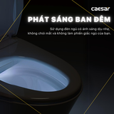 Bồn Cầu 1 khối CAESAR C1363F Nắp Rửa Điện Tử TAF610H
