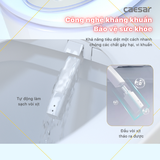 Bồn Cầu 1 khối CAESAR C1363F Nắp Rửa Điện Tử TAF710H