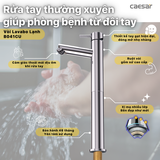 Vòi lavabo chậu rửa mặt Caesar B041CU nước lạnh cổ cao kèm nút xả nhấn
