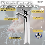 Vòi lavabo chậu rửa mặt Caesar B551CU nóng lạnh cổ cao kèm nút xả nhấn