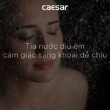 Tay sen Caesar SH110