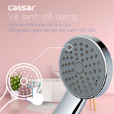 Tay sen Caesar SH110