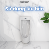 Bồn tiểu nam Caesar U0283 treo tường