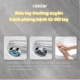 Vòi lavabo chậu rửa mặt Caesar B119C nước lạnh