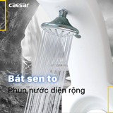 Sen thuyền Caesar SP149 nóng lạnh