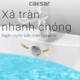 Lavabo chậu rửa mặt Caesar L2150S treo tường chân dài