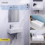 Lavabo Caesar LF5239L Treo Tường - Đặt Bàn