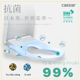 Bồn cầu 2 khối CD1341 nắp rửa điện tử TAF512H